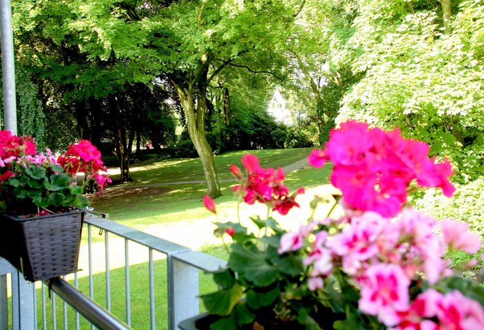 Blumen auf einem Balkon mit Blick ins Grüne